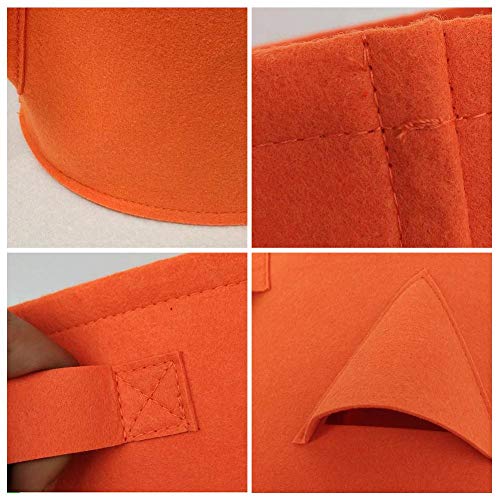 Strawberry Planter 2 Pack Nonwoven Cloth Strawberry Planting Bags ...