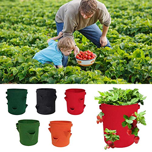 Strawberry Planter 2 Pack Nonwoven Cloth Strawberry Planting Bags ...