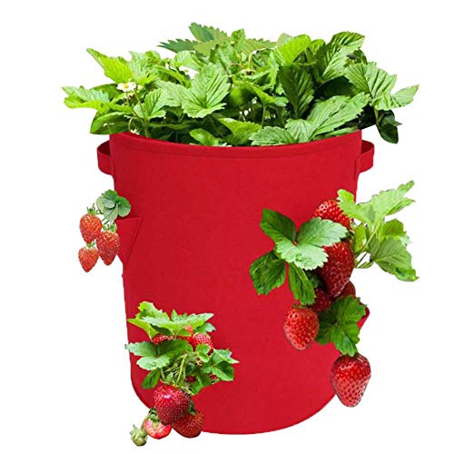 Strawberry Planter 2 Pack Nonwoven Cloth Strawberry Planting Bags ...