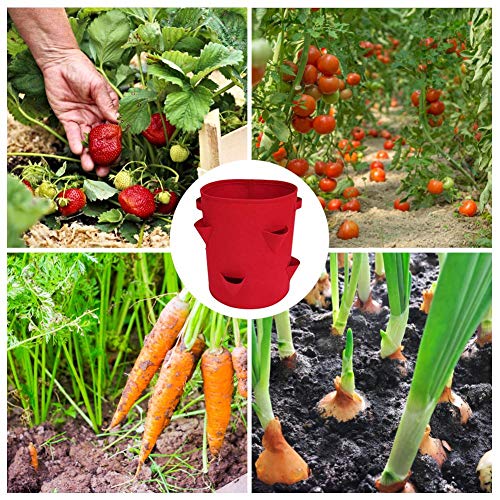 Strawberry Planter 2 Pack Nonwoven Cloth Strawberry Planting Bags ...