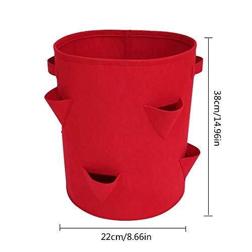 Strawberry Planter 2 Pack Nonwoven Cloth Strawberry Planting Bags ...