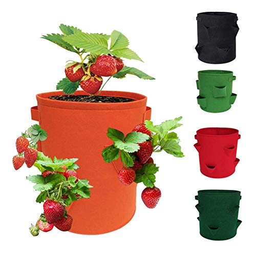Strawberry Planter 2 Pack Nonwoven Cloth Strawberry Planting Bags ...