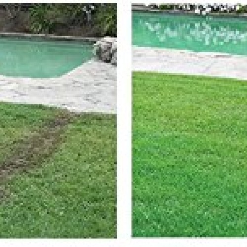 New Eagle 17500-6 Eagle Eye Marketing Group Inc Hydro Mouss Berm R...