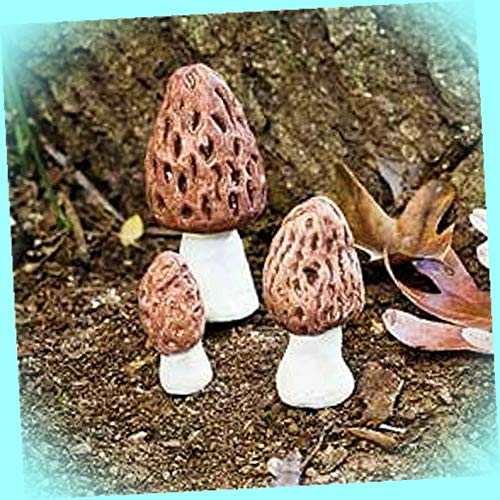New Morel Mushrooms Fairy Garden Miniature Dollhouse Magic Scene S...