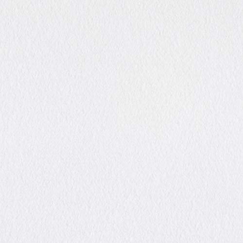 Newcastle Fabrics Polar Fleece Solid White Fabric By The Yard