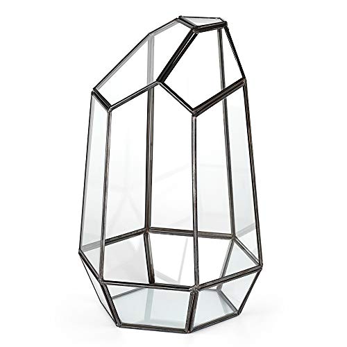 Newitty Geometric Glass Hexagon Plant Terrarium for Succulent Air ...