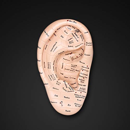 Newkelly Seed 300pcs Therapy Ear Patch Auricular Auriculotherapy A...