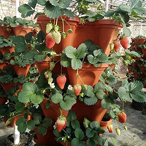 Stackable Garden - Indoor/Outdoor Vertical Planter Set - Self Wate...