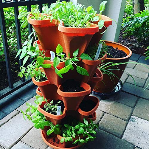 Stackable Garden - Indoor/Outdoor Vertical Planter Set - Self Wate...