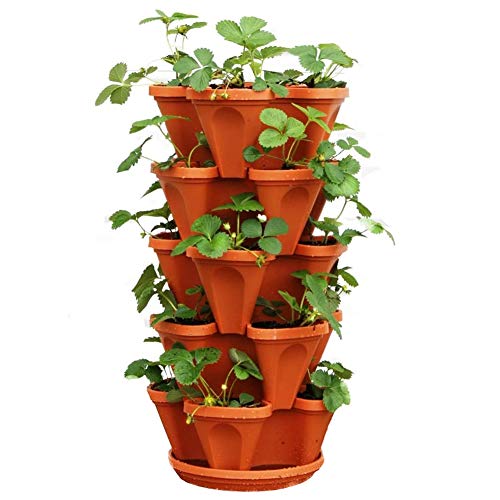 Stackable Garden - Indoor/Outdoor Vertical Planter Set - Self Wate...