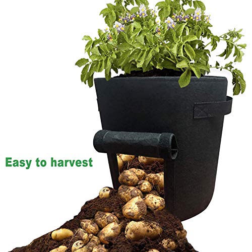 Nicheo 3 Pcs 6.5 Gallon Garden Boxes, Easy to Harvest, Planter Pot...