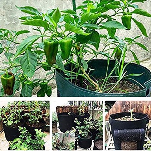 Nicheo 3 Pcs 6.5 Gallon Garden Boxes, Easy to Harvest, Planter Pot...