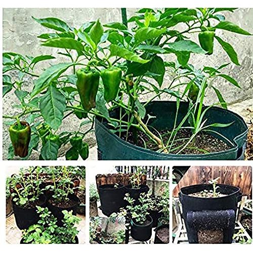 Nicheo 3 Pcs 6.5 Gallon Garden Boxes, Easy to Harvest, Planter Pot...