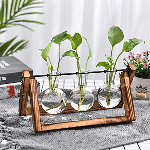 Nicunom Desktop Glass Planter Bulb Vase Tabletop Plant Terrarium w...