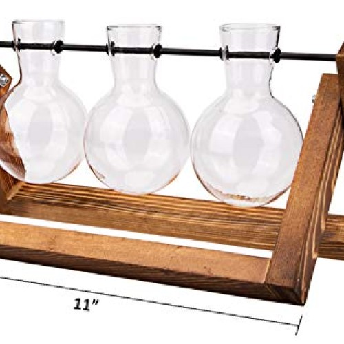 Nicunom Desktop Glass Planter Bulb Vase Tabletop Plant Terrarium w...