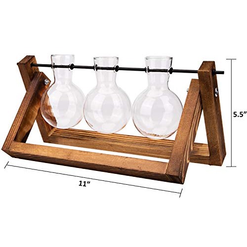 Nicunom Desktop Glass Planter Bulb Vase Tabletop Plant Terrarium w...