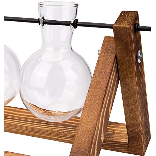 Nicunom Desktop Glass Planter Bulb Vase Tabletop Plant Terrarium w...