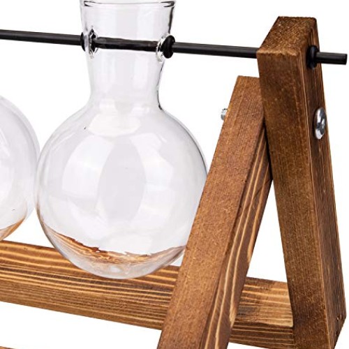 Nicunom Desktop Glass Planter Bulb Vase Tabletop Plant Terrarium w...