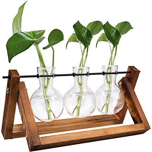 Nicunom Desktop Glass Planter Bulb Vase Tabletop Plant Terrarium w...