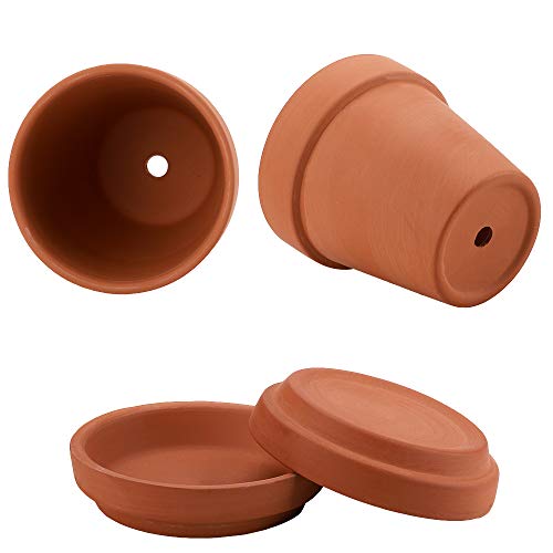 Nilos 12 Pack Terra Cotta Pots with Saucer - 12Pcs 3 inches Clay P...