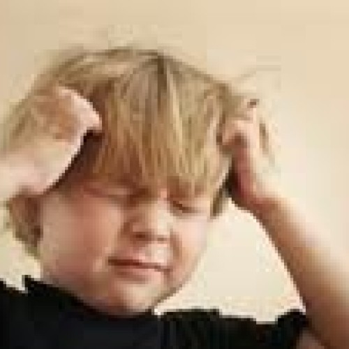 Nit Free Head Lice Mint Oil Peppermint Spray, 16oz Anti Super Lice...