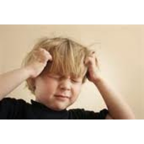 Nit Free Head Lice Mint Oil Peppermint Spray, 16oz Anti Super Lice...