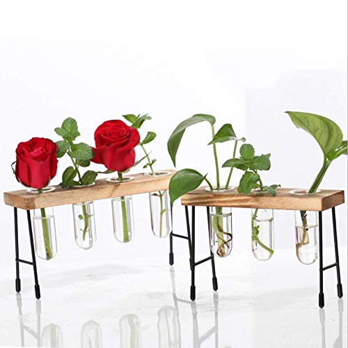 NMFIN Hydroponic Vase - Desktop Plant Terrarium, Air Test Tube Des...