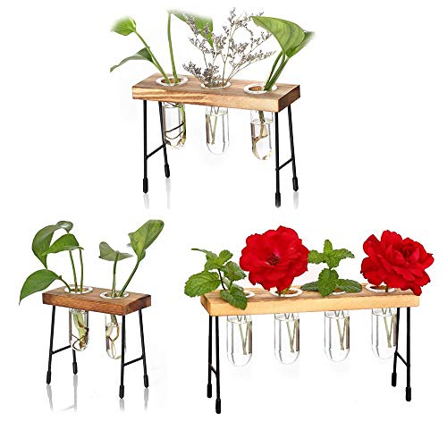 NMFIN Hydroponic Vase - Desktop Plant Terrarium, Air Test Tube Des...
