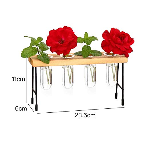 NMFIN Hydroponic Vase - Desktop Plant Terrarium, Air Test Tube Des...