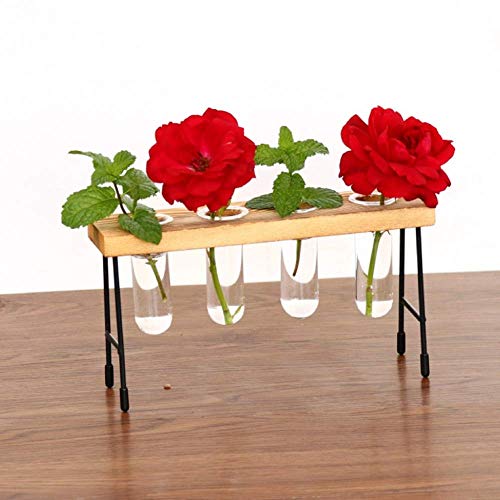 NMFIN Hydroponic Vase - Desktop Plant Terrarium, Air Test Tube Des...