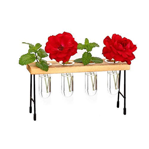 NMFIN Hydroponic Vase - Desktop Plant Terrarium, Air Test Tube Des...