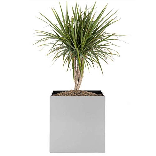 Madeira Cube Planter - Brushed Metal - 16L x 16W x 16H - Square...