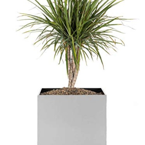 Madeira Cube Planter - Brushed Metal - 16L x 16W x 16H - Square...