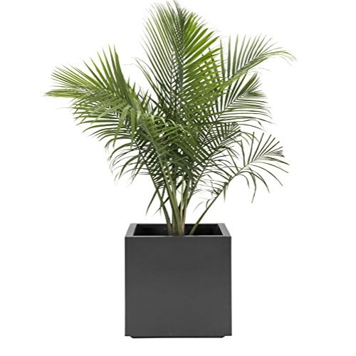 Modern Square Planter Large Outdoor, Indoor | Seeley Cube Box Pot ...