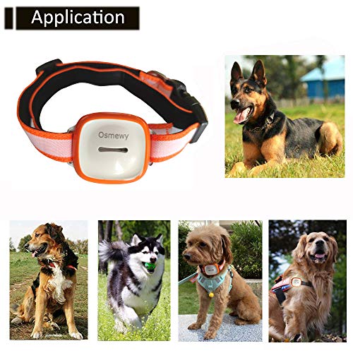 Osmewy Pet GPS Tracker for Dogs Bigger Cats Hounds Tracking Device...