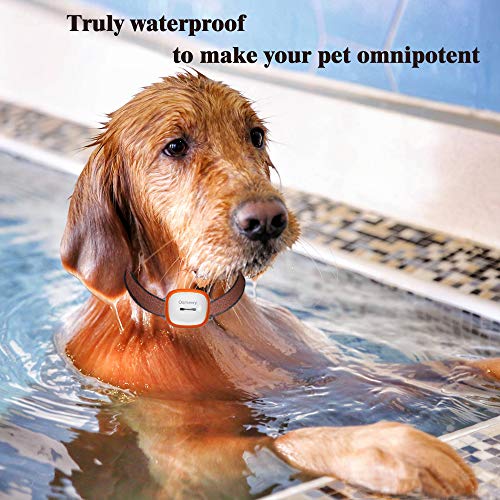 Osmewy Pet GPS Tracker for Dogs Bigger Cats Hounds Tracking Device...
