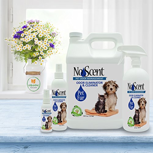 No Scent Pet Fur - Professional Dog & Cat Grooming Odor Eliminator...