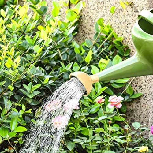 NOBONDO Watering Can 1 Gallon with Sprinkler Head, Plant Watering ...