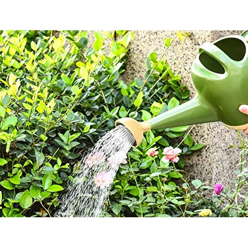 NOBONDO Watering Can 1 Gallon with Sprinkler Head, Plant Watering ...