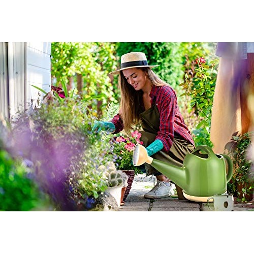 NOBONDO Watering Can 1 Gallon with Sprinkler Head, Plant Watering ...