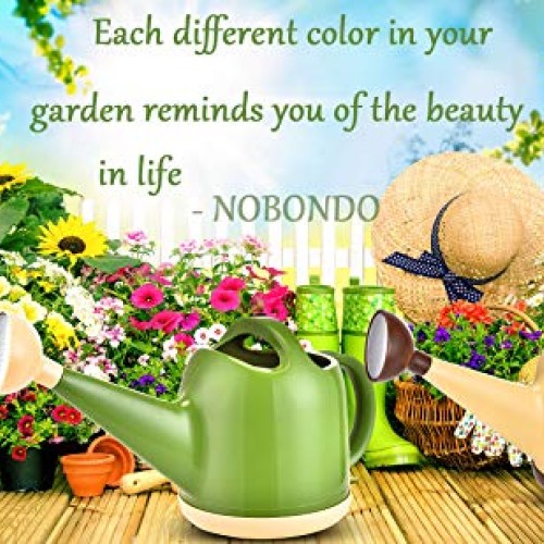 NOBONDO Watering Can 1 Gallon with Sprinkler Head, Plant Watering ...