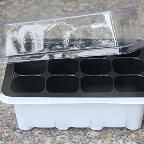 3 Pcs/Set 12 Cells Seedling Trays Seed Starter Box Plant Flower Gr...