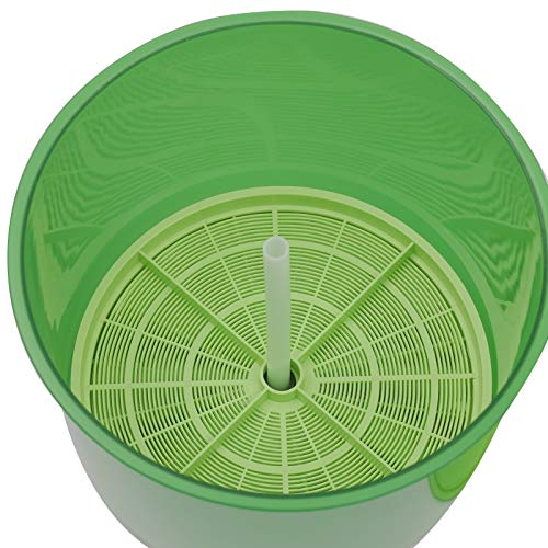Ethedeal Bean Sprouts Machine-110V 2-Layer Automatic Bean Sprouts ...