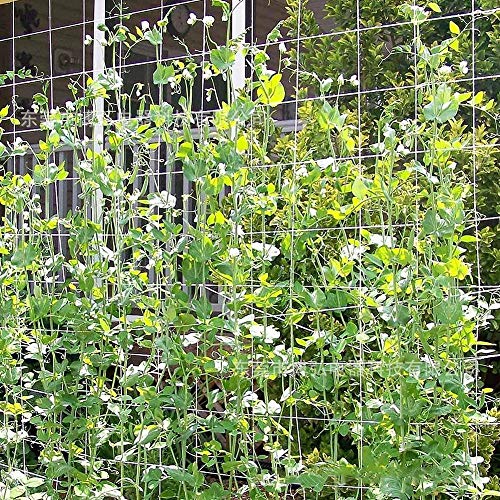 Hongyuantongxun Plant Climbing Net Mesh Flower Cucumber Plants Lan...