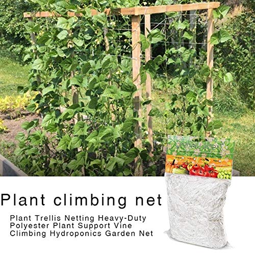 Hongyuantongxun Plant Climbing Net Mesh Flower Cucumber Plants Lan...