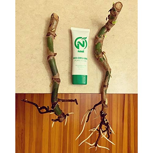 Noot Organic Indoor Premium Plant Food Fertilizer Works for All Ho...
