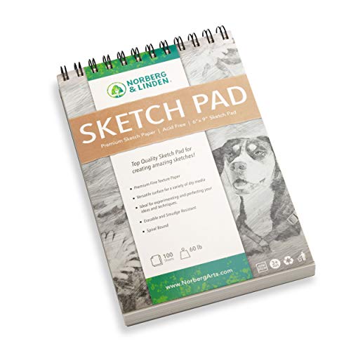 Drawing Set - Sketching and Charcoal Pencils - 100 Page Drawing Pa...