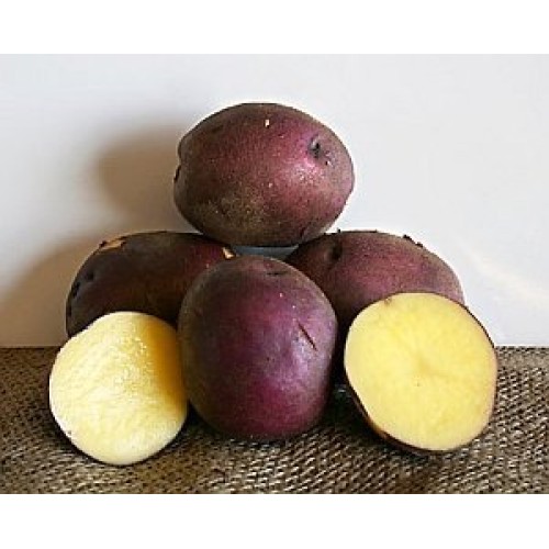 AAA Certified Red Gold Potato Seed 3 LBs Non GMO and Virus Free Gr...
