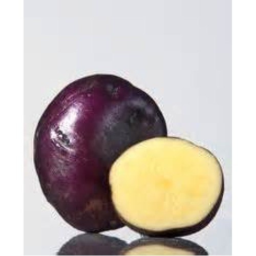 AAA Certified Red Gold Potato Seed 3 LBs Non GMO and Virus Free Gr...