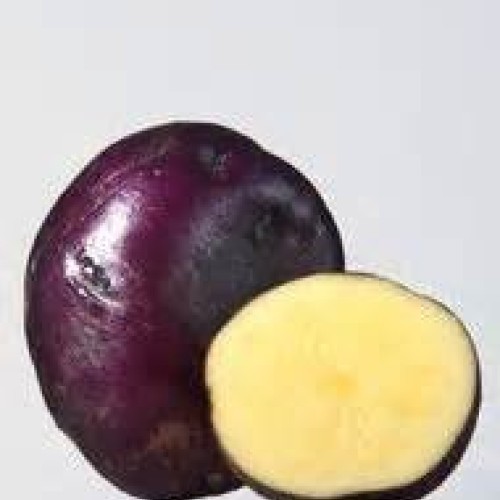 AAA Certified Red Gold Potato Seed 3 LBs Non GMO and Virus Free Gr...
